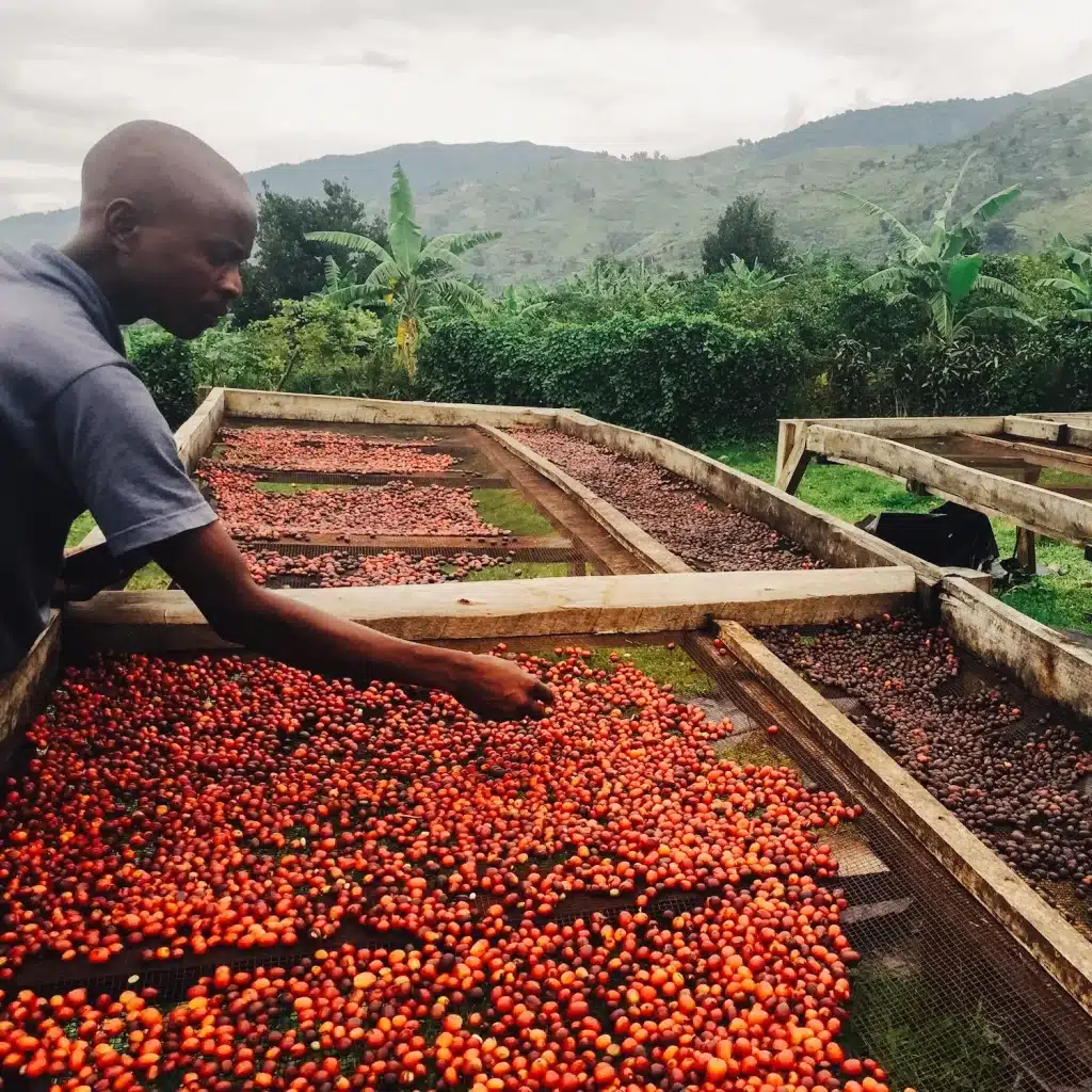 Uganda Rwenzori